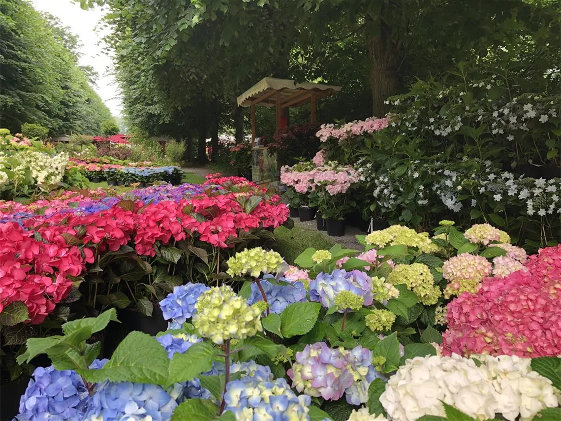 GartenAusstellungen und Messen 2023 wir machen mit! Kopie
