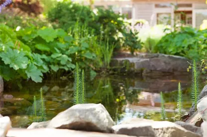 Findlinge im Garten - Sitzgelegenheit, Wasserfall oder Dekoelement