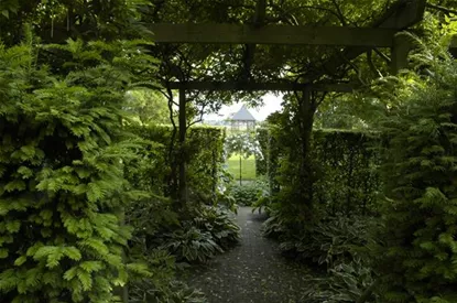 Garten easy going – so wird der Garten pflegeleicht