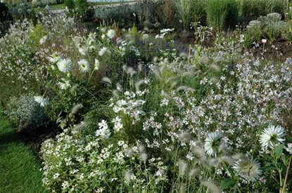 Ganz in Weiß – elegante Gartengestaltung mit Stil