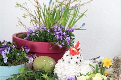 Mini-Gärten, das kleine Gartenglück