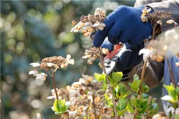 …