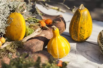 Es wird bunt! Herbst-Deko im Haus