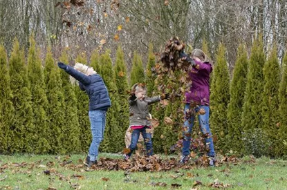 Spiel, Spaß und Sport: Der Garten als grünes Fitness-Studio